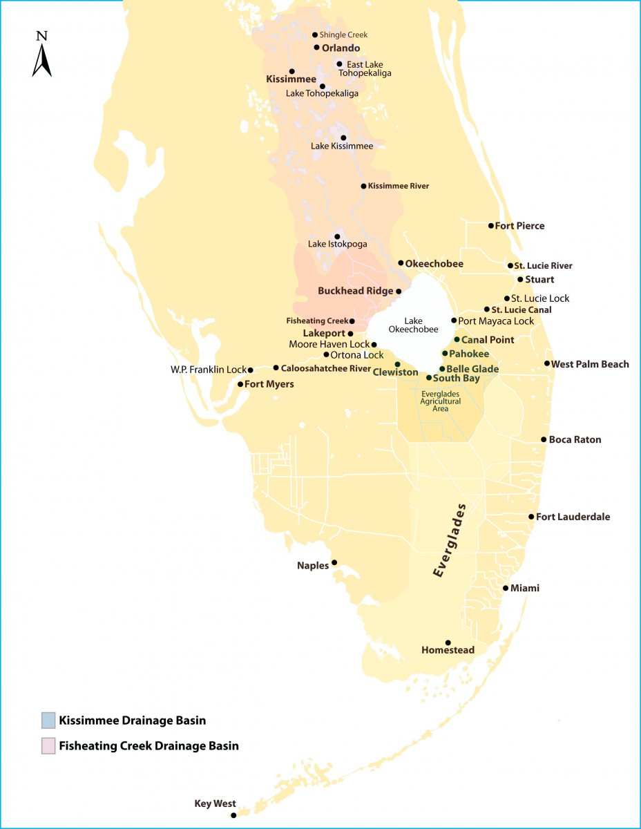 The Everglades Ecosystem