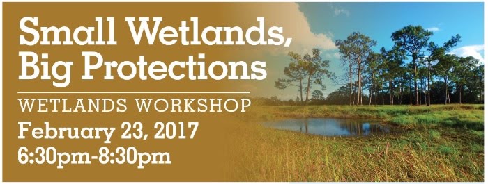 wetlands workshop