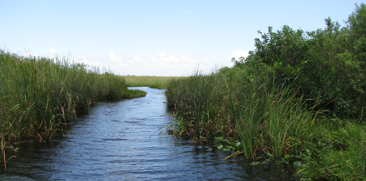 Everglades National Park Protection and Expansion Act