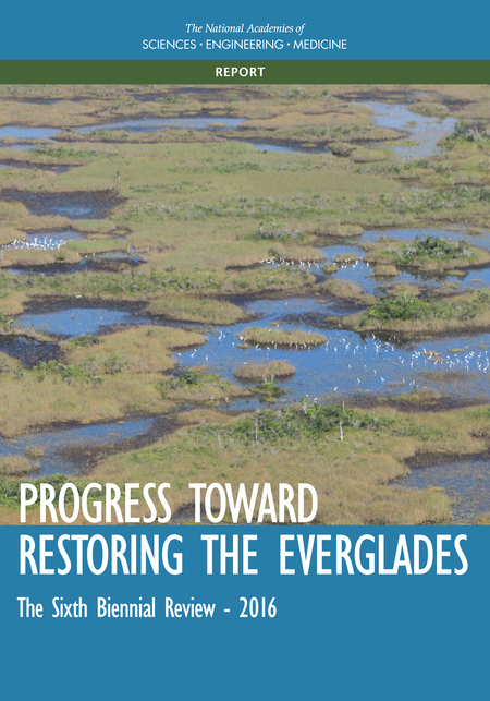 Report On Everglades Restoration