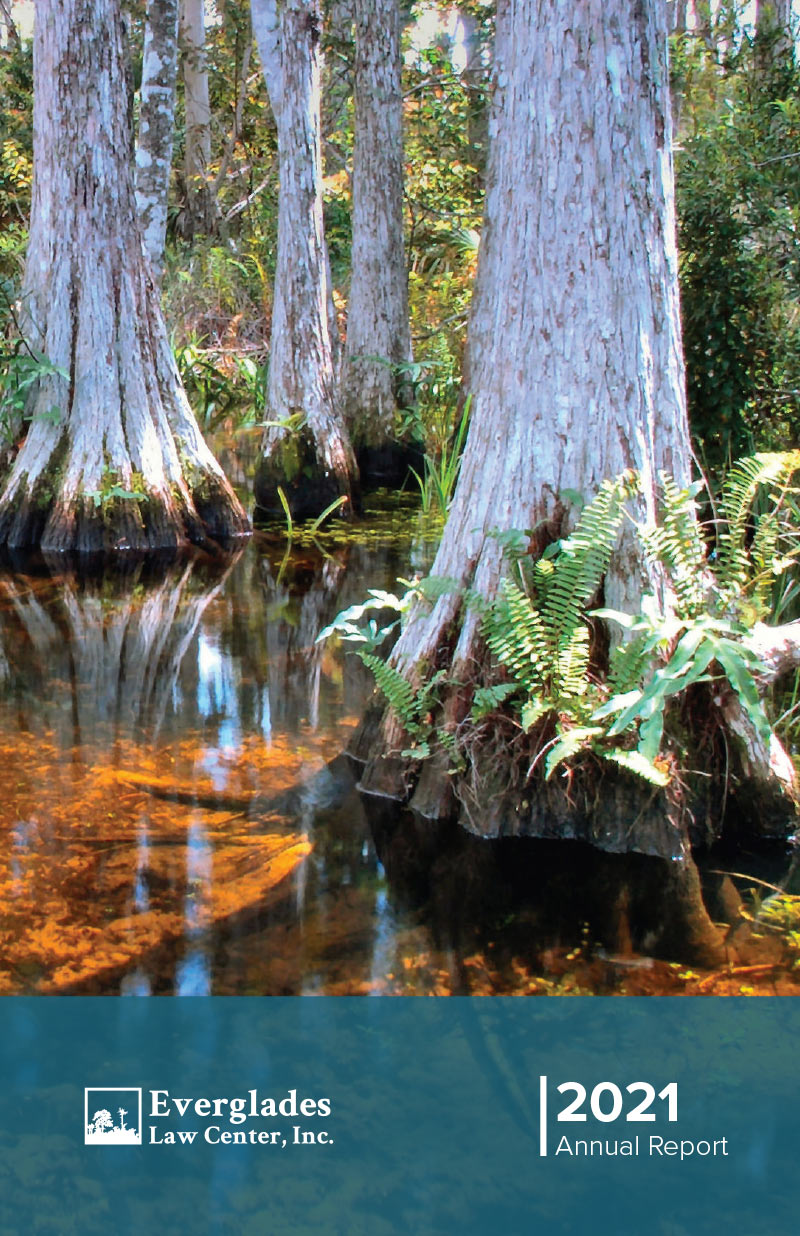 Everglades Law Annual Report 2021