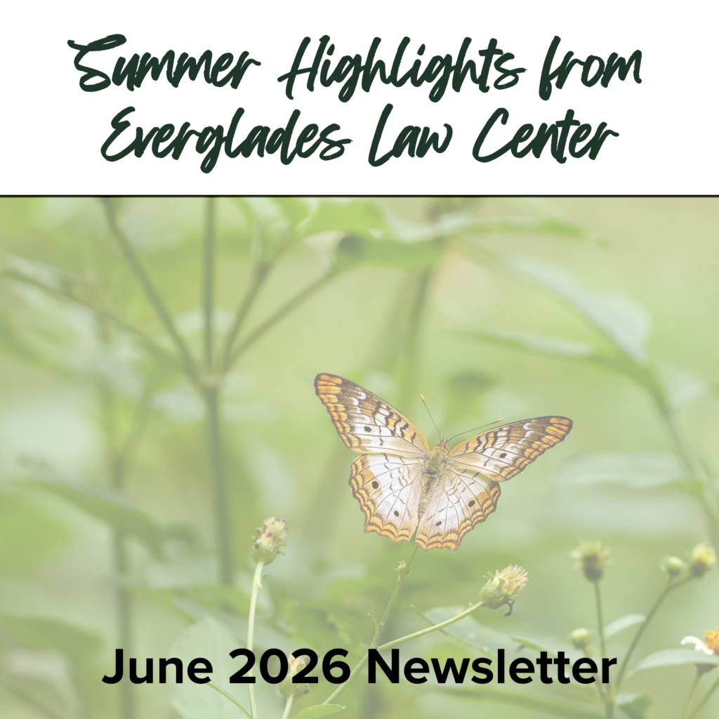 Summer is already making waves at Everglades Law Center